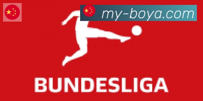 博亚体育合作伙伴